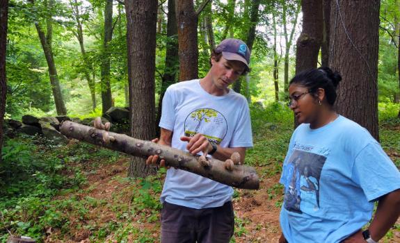 Professor Eric Vukicevich investigates mushrooms with a student.