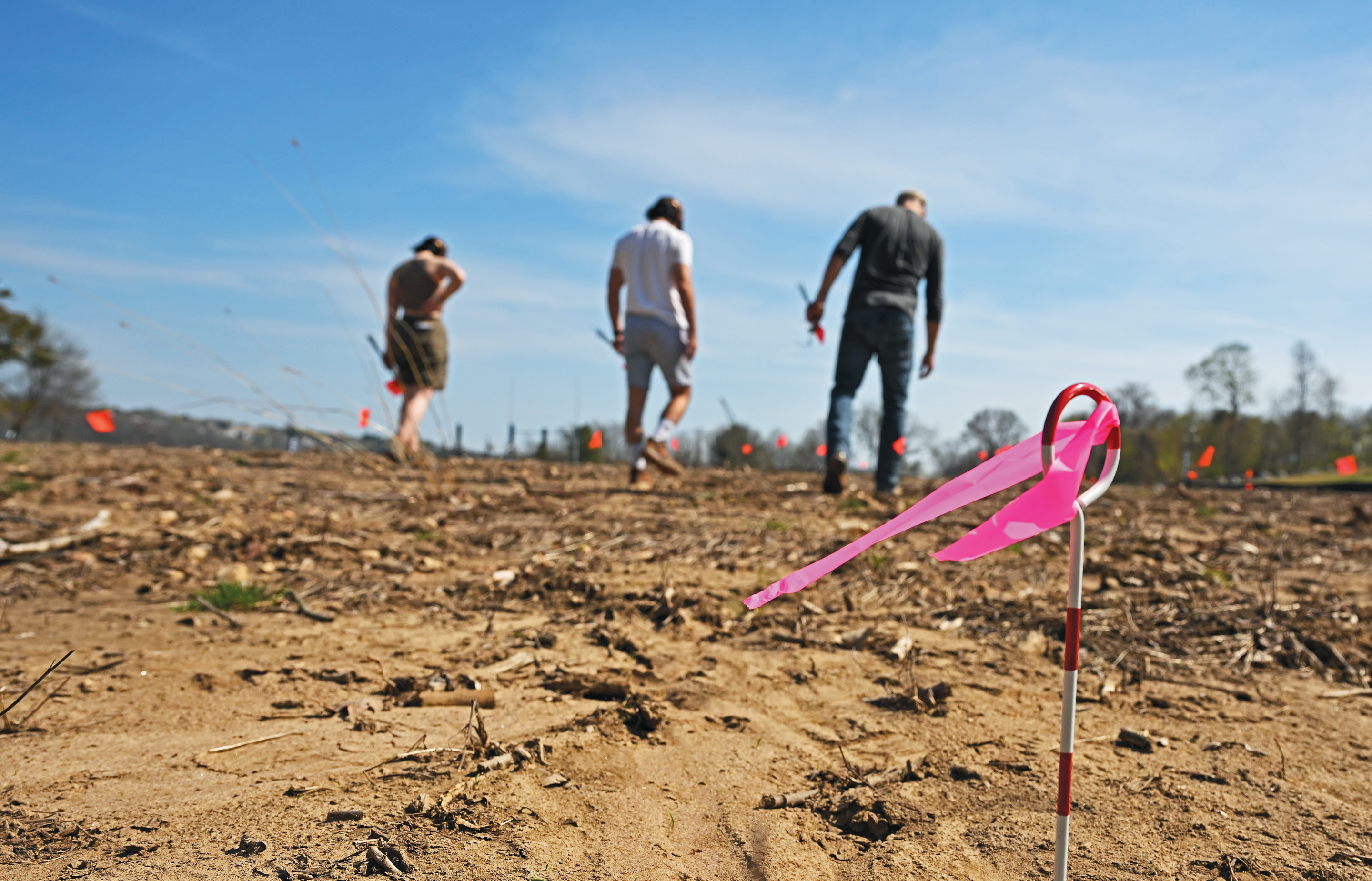 Associate Professor of Anthropology and College Archaeologist Anthony Graesch and students conduct an archaeological survey