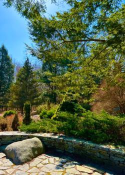 Trees in the Gries Conifer Collection