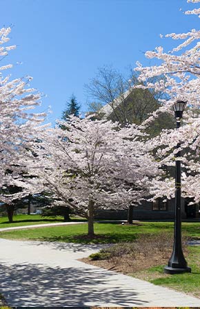 Campus photo